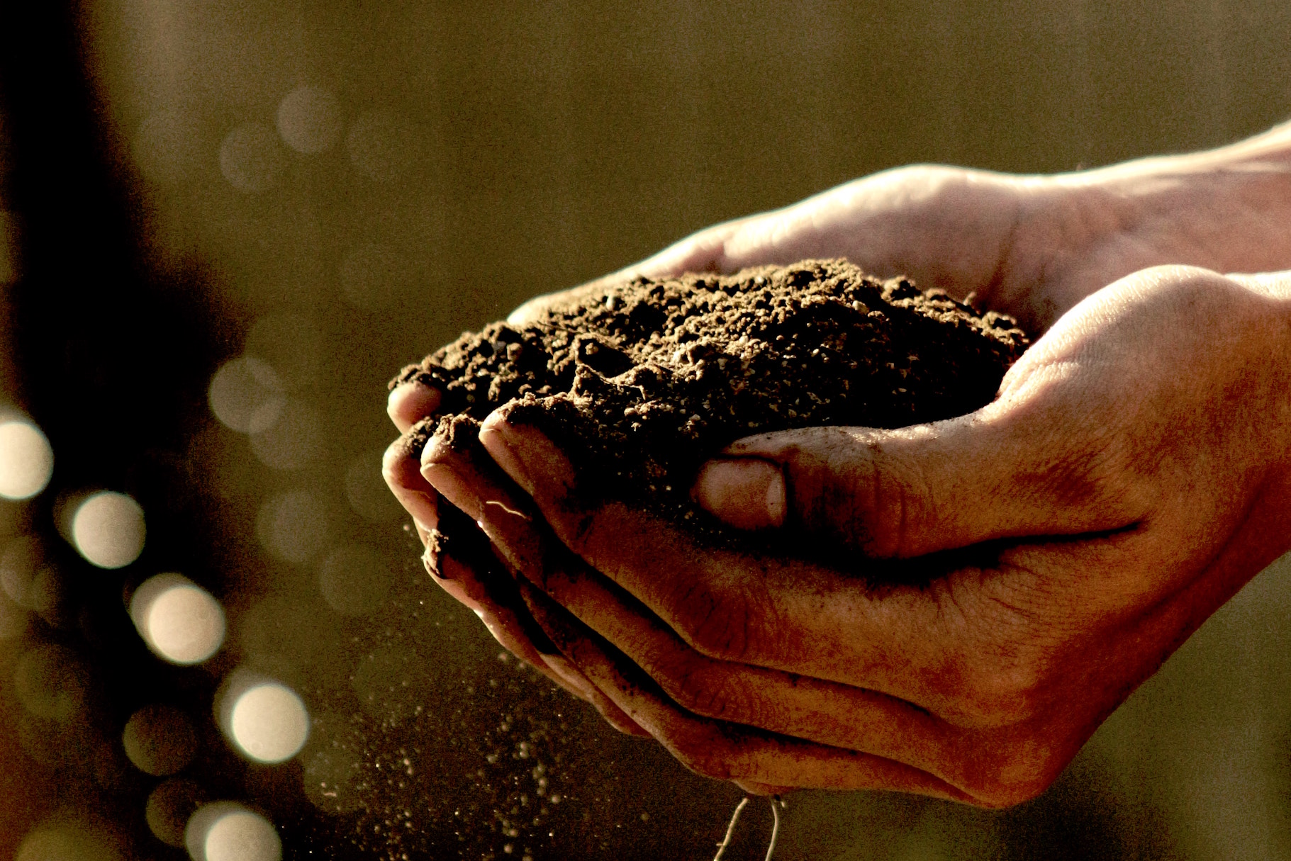 Earth hands beschnitten